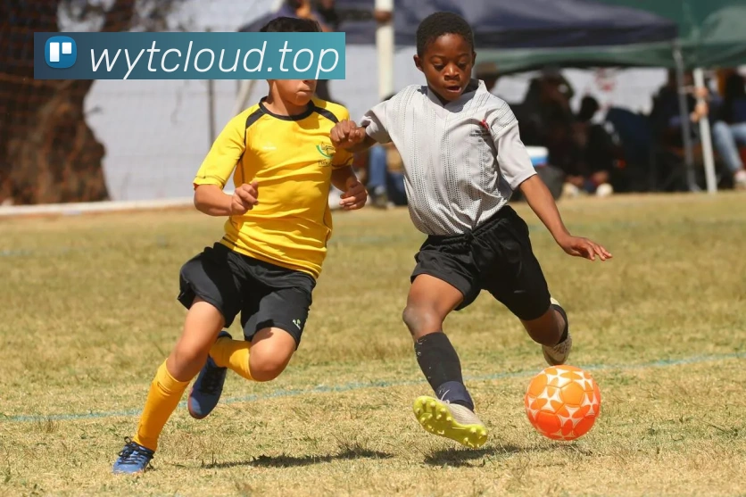 竞博app官网APP 高清赛事图